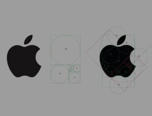 Schematics of the Apple logo
