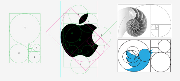 Apple Logo Design Fibonacci